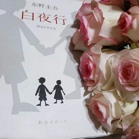 《白夜行》读后感