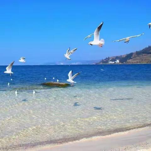 2023年滇东南行（2）