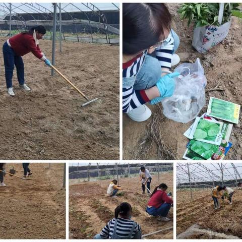记四年级二级部“红领巾劳动基地种植”活动。