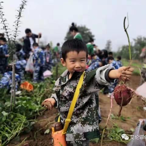 “亲近自然 与“艾”同行”艾伦菲尔自然课堂第八期