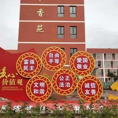 线上教学守初心，携手共进护花开——十五小四.8班学生居家学习纪实