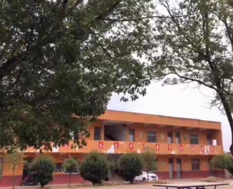 罗坪小学学习垃圾分类主题活动