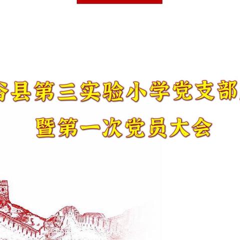 筑牢坚强战斗堡垒，庆祝建党100周年——阳谷县第三实验小学成立党支部并召开第一次党支部工作会议