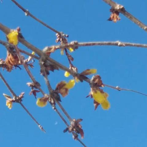 蒲家小学2018师生运动会