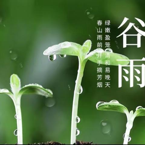 晴明接谷雨    展学促提升——记新洲区问津第一小学迎接区教研室教学视导