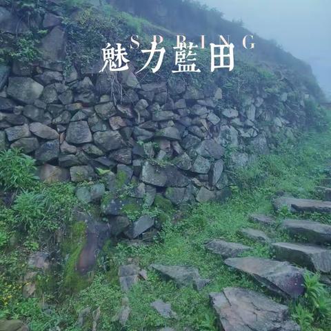 绘蓝田红地新景❤️，谱魅力乡村乐章♥