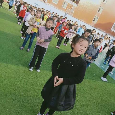 在阳光下翩翩起舞