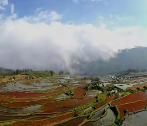 彩云之南 ——2017年2月云南游记