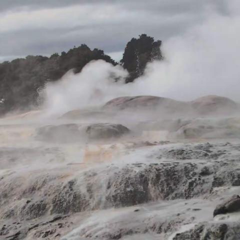 2019新西兰游之四（罗托鲁瓦 奥克兰）