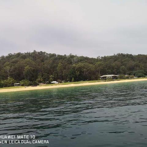 2019澳新游之三（海豚岛 布里斯班 黄金海岸）