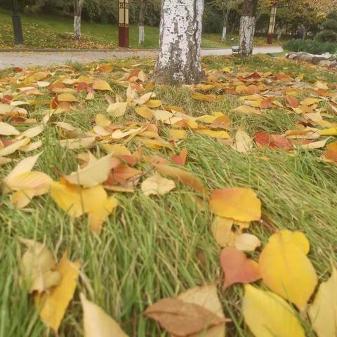 国学培训，遇见最美的风景