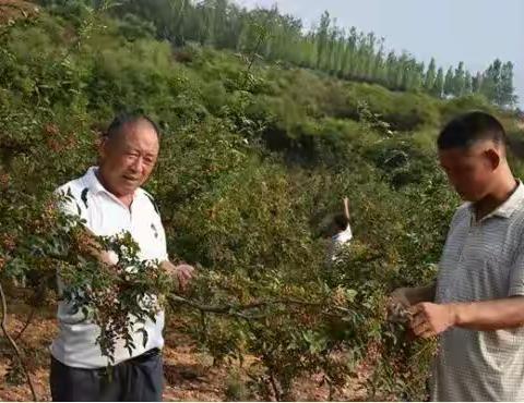 张东堂：退休但不告别