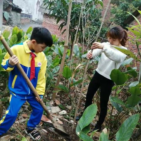 居家学习，一样精彩