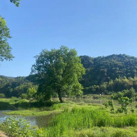 金京生名师工作室第六次线上活动