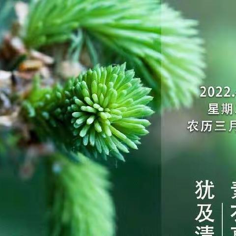 2022年的二十四节气