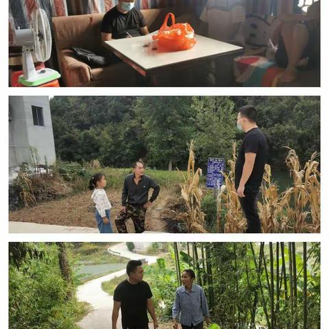 砚台村 朱俊丽的美篇