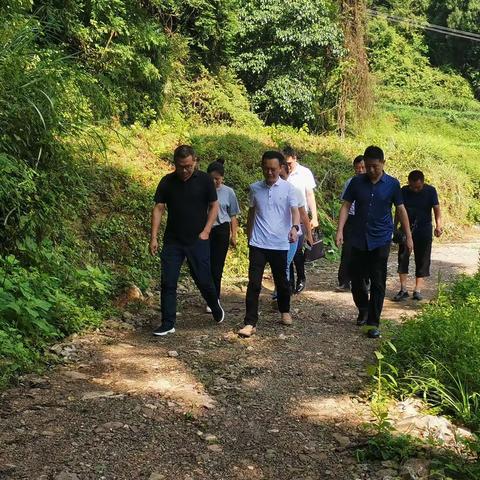 县委常委、县纪委书记江健一行到绥阳镇开展退役军人走访慰问并指导调研蚕桑产业发展