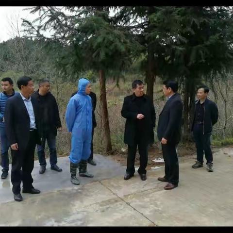 省、市非洲猪瘟防控暨生猪违法违规专项整治督导组来明溪开展督
