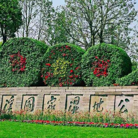 探索西溪湿地/海外五江口校区/202班/陈馨琪