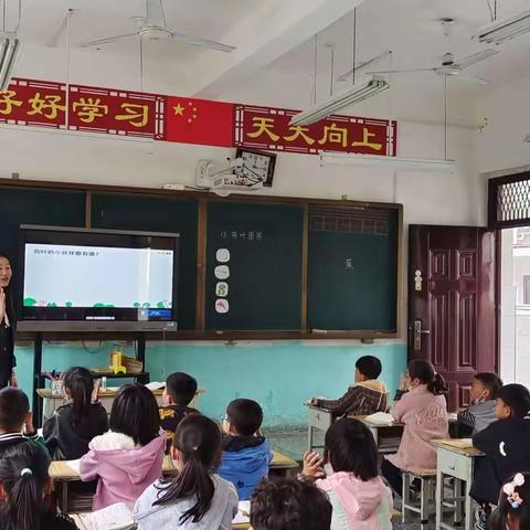 立足课堂主阵地，听课评课促提升——上店镇李庄小学开展校级语文听评课活动