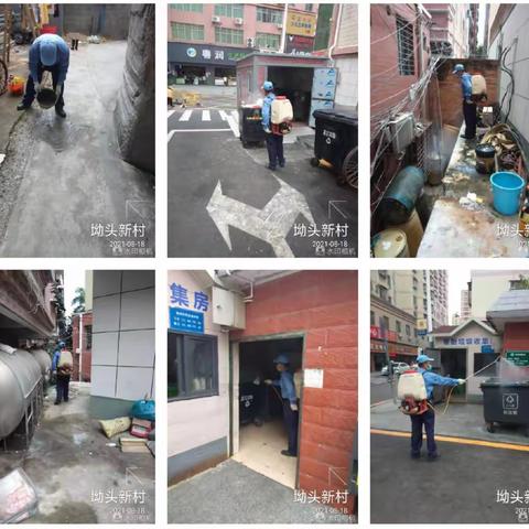 民治街道城管科除“四害”作业（2021.8.18）