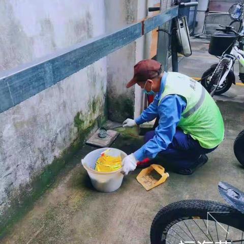 翔虹生态科技/A标南山街道老旧住宅小区及公共区域2021.8.13工作图