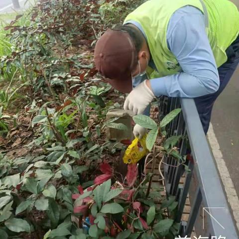 翔虹生态科技/A标段南头街道老旧住宅小区及公共区域2021.08.19工作图