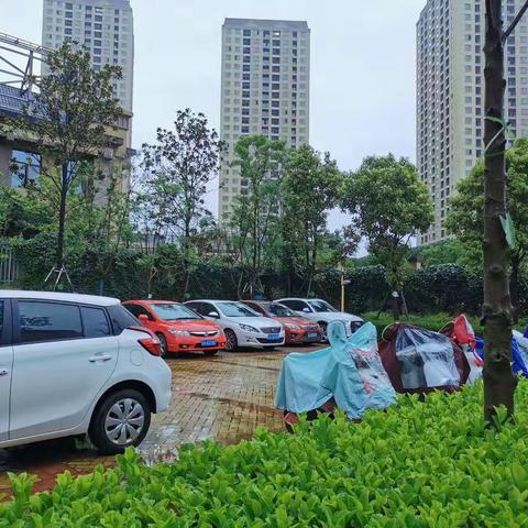 “天街小雨润如酥，最是一年春好处                 ”——记新迎第一幼儿园幼小衔接教师培训篇