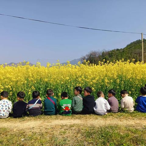 莲塘幼儿园——亲近大自然，观赏油菜花