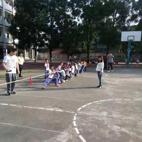 横河天行小学举行三至六年级班际拔河比赛