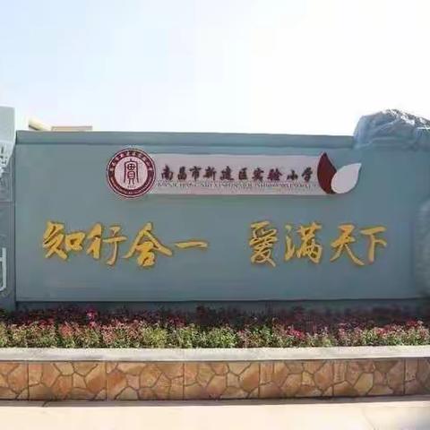 实验小学的国学传承人