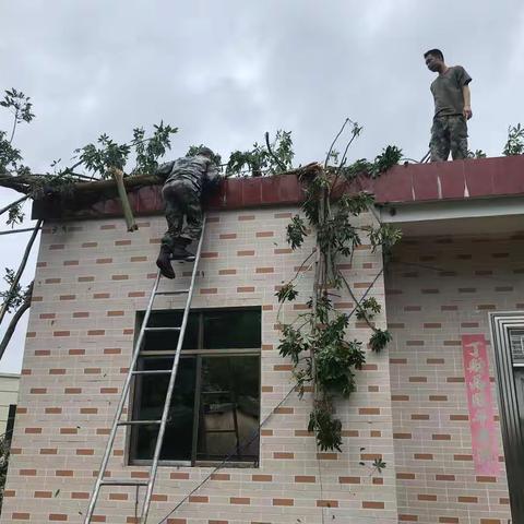 暴风雨来袭，陵水民兵冲在抢险救灾一线