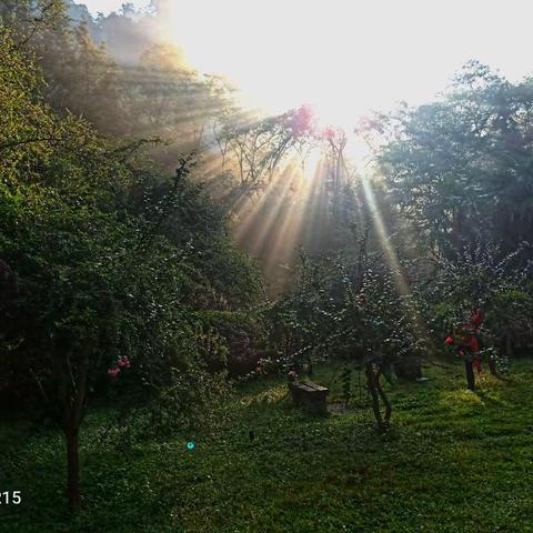 张      家      界