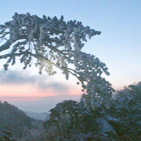 春   雪   之   后   仙   人   台   日   出