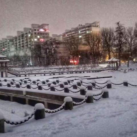 春    雪    风    景