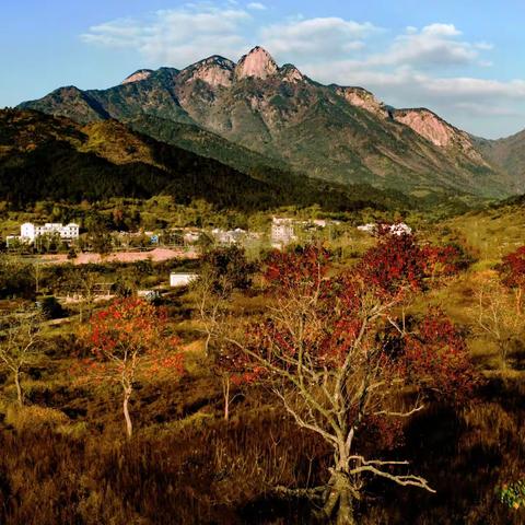 大别山觅秋一御2随拍