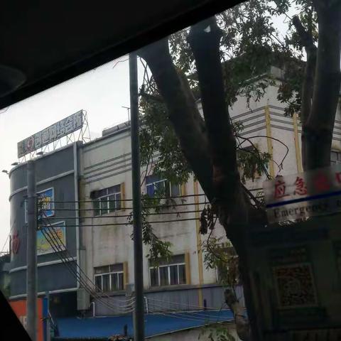 2018秋普通实习（佛山顺德北滘镇朝亮小学）