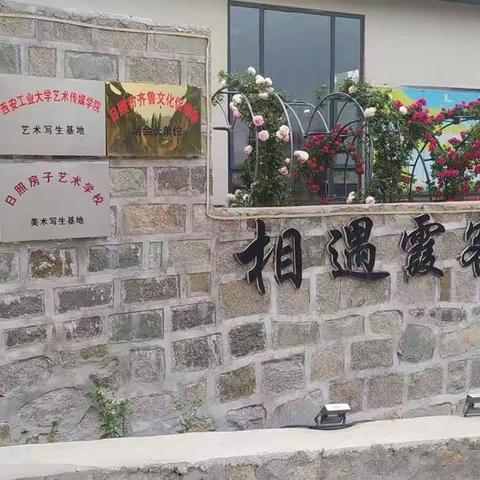 蔷薇季      美丽行