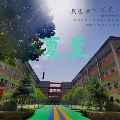 夏至到，蝉始鸣——洛阳启迪未来小学三年级二十四节气探索课程之夏至