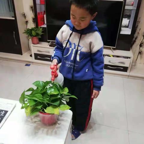 我为大地添点绿二一班植树护绿行动！