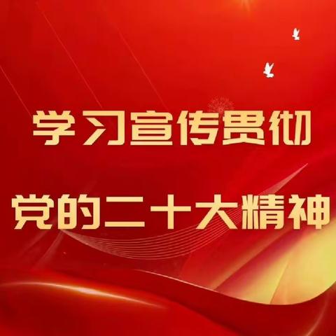 用党的二十大精神统一思想和行动——中共聊城闫寺实验学校支部委员会学习贯彻党的二十大精神宣讲