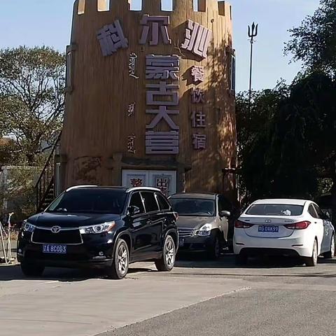 大美科尔沁---鲜花、草原、沙漠、森林和灿烂的阳光