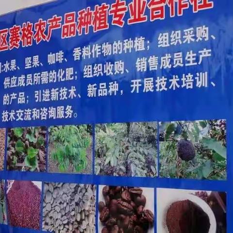 隆阳区赛格农产品种植专业合作社