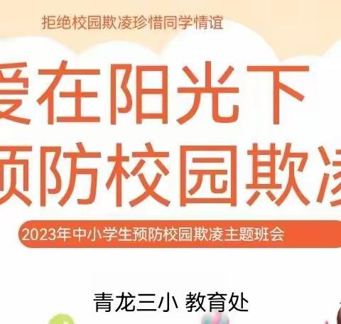 爱在阳光下，预防校园欺凌—主题班会活动纪实