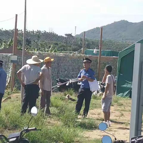 基本农田保护处理违章建筑