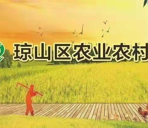 能力提升建设年—琼山区农业农村局举办“三农”讲堂活动