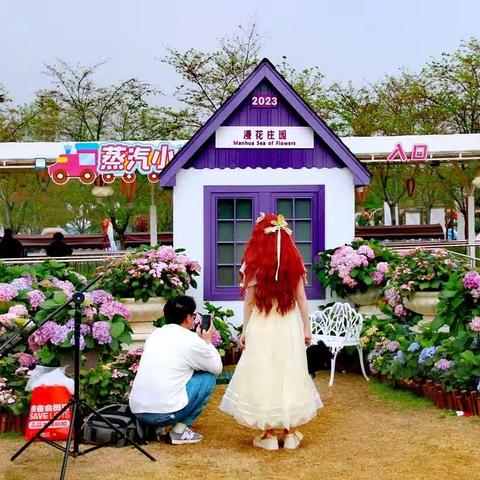 漫花庄园：漫山花艳让人醉