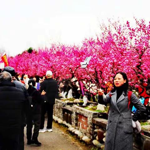 网红火爆景点：醉美问花村