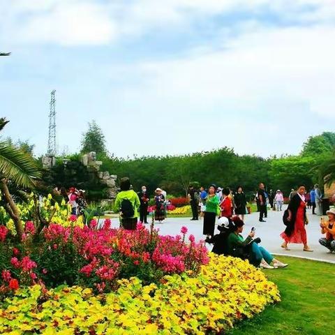 花坞·御景园:花艳草绿