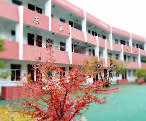 【养善栖小】栖霞映染枫叶红 ——栖霞中心小学养善德育捷报频传